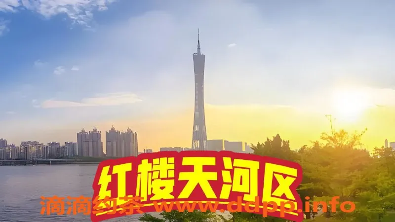 广州楼凤资源信息,天河大区小姐，超高评价的优质服务