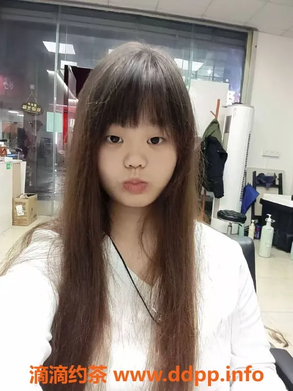 中山楼凤-横栏优质服务，快餐仅需350元起！