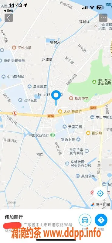 中山楼凤-埠沙新面孔，洗吹做服务仅需400元