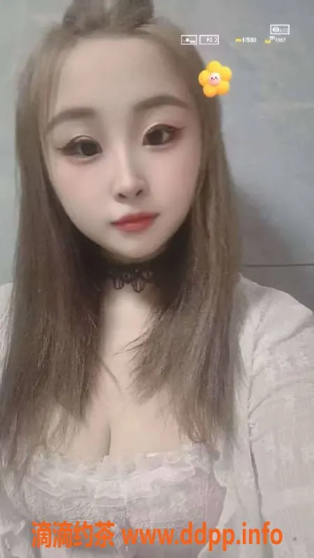 中山楼凤-火炬区12月7日快餐400洗吹服务