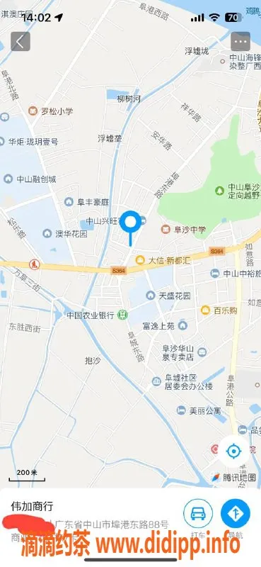 中山楼凤-埠沙三位女神，快餐300，洗吹做400