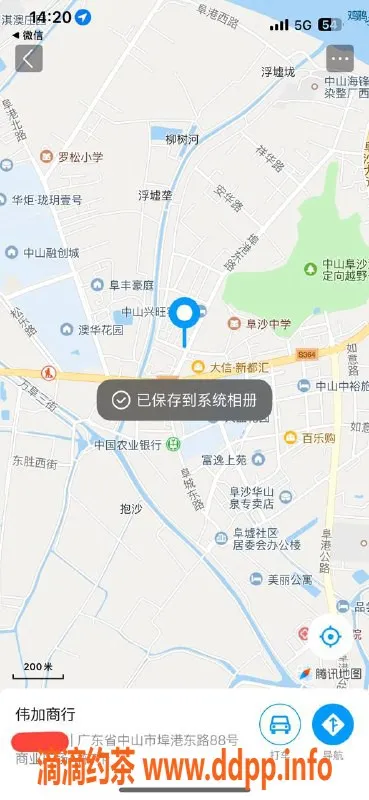 中山楼凤-埠沙地区优质服务女神，300快餐/400洗吹做