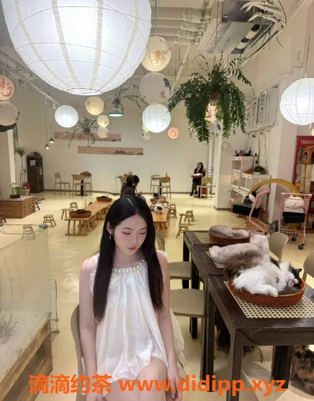 深圳楼凤-深圳龙华椰子，899元嫩妹服务体验