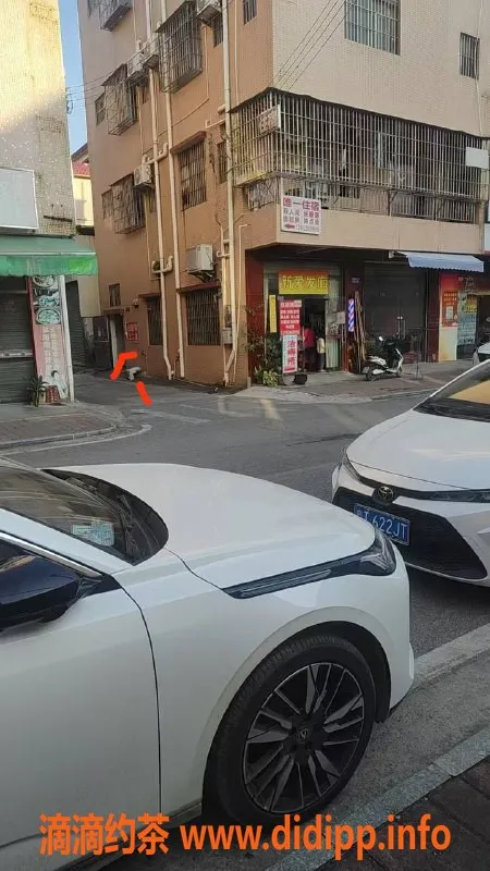 中山楼凤-三角地区优质洗吹做服务