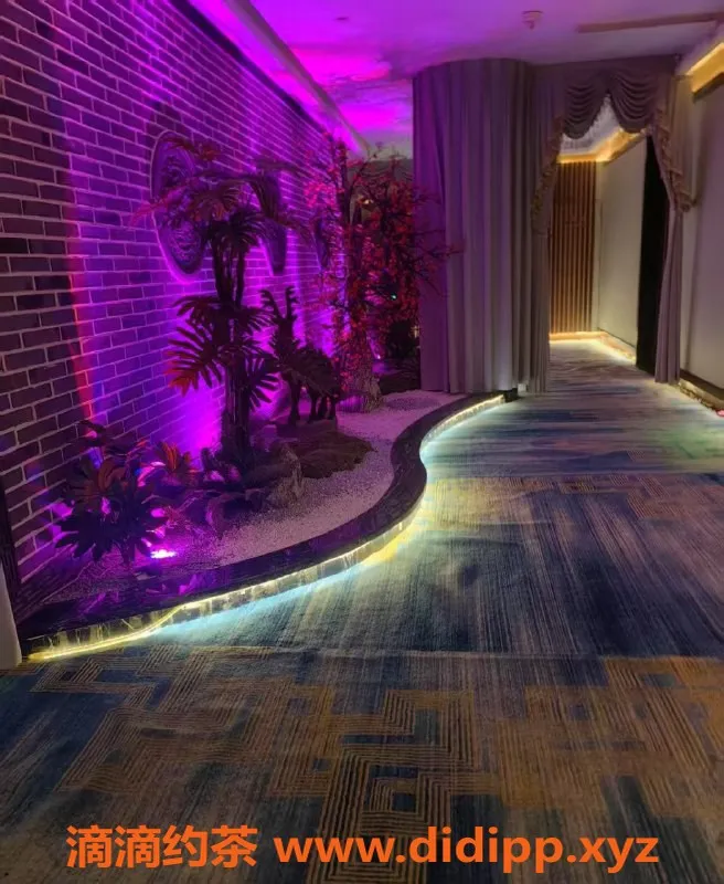 广州spa会所资源信息,番禺大学城高颜值95会所，年轻技师服务超赞