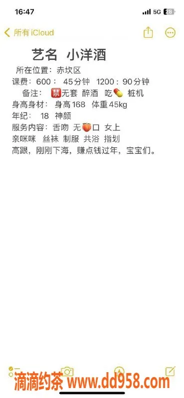 湛江女仆店-湛江小洋酒，600元独特体验等你来！