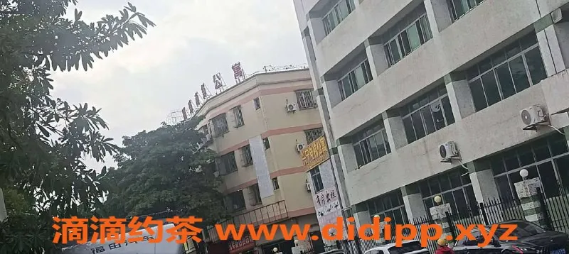 中山楼凤-火炬地区高颜值服务 300元快餐体验