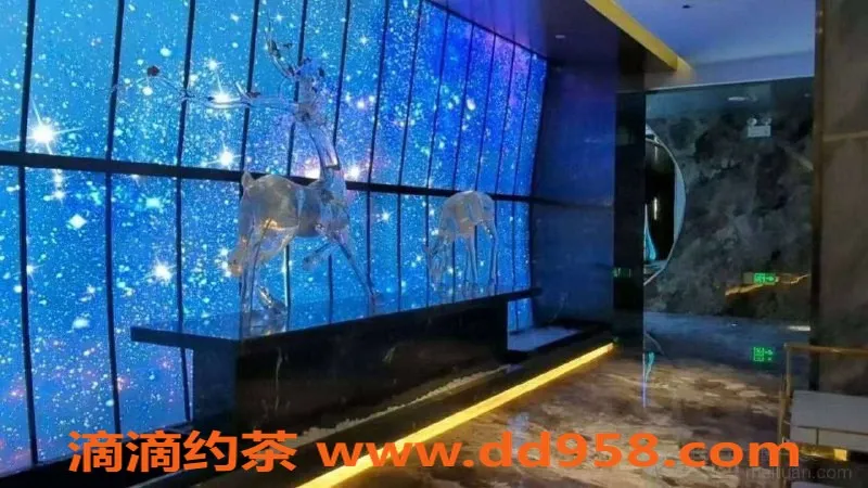 广州楼凤-广州海珠顶级服务，629元体验绝佳享受