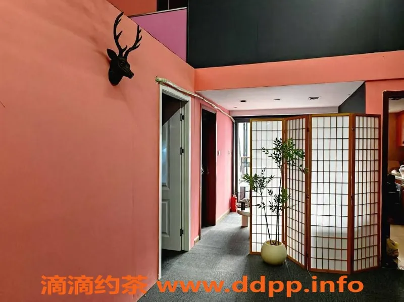 广州女仆店-广州天河半糖恋爱体验馆399起