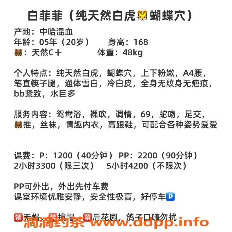 深圳楼凤资源信息,南山白菲菲，20岁168长腿，1200起