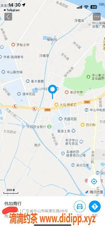 中山楼凤-埠沙优质服务，300元快餐体验