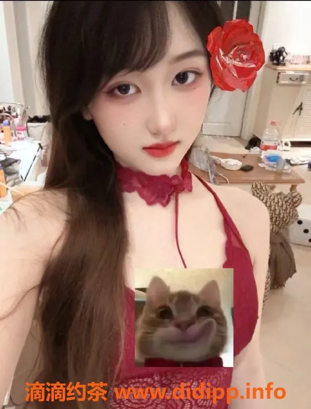 南京楼凤资源信息,浦口区小雨，700元起，服务超赞！