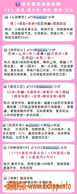 深圳女仆店-南山双子美少女，538元起，女仆体验等你来