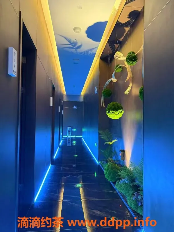 东莞spa会所资源信息,东莞会所精选，精品服务尽在此处