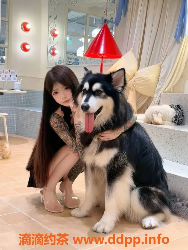 深圳楼凤-福田嫩妹小橙子，900元超值服务！