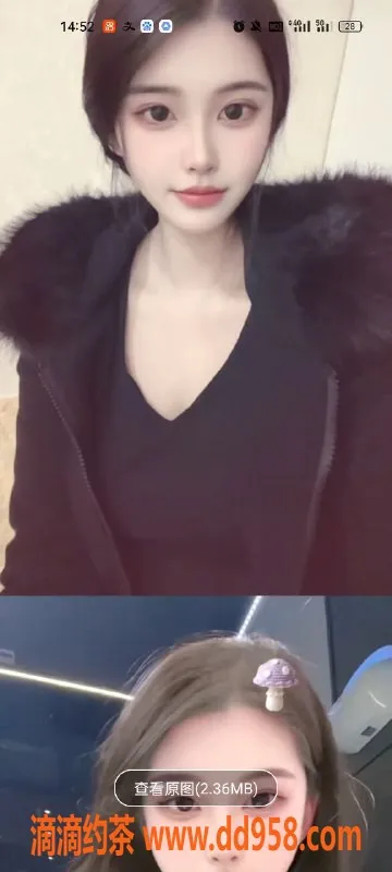 天津楼凤资源信息,河北瑞海大厦多位美女，6起飞夜🈳