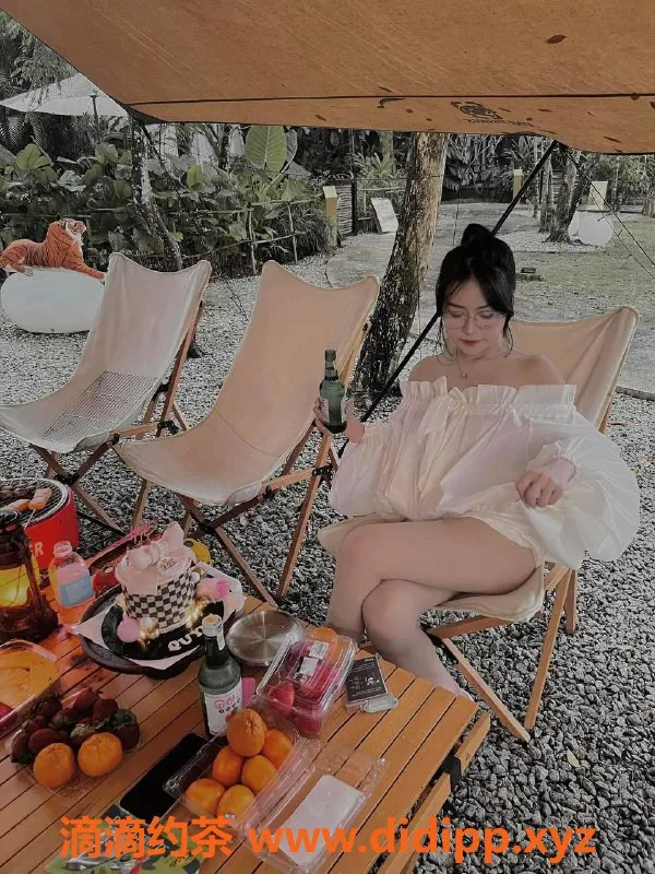 南宁楼凤-青秀区猫咪，热情似火的陪伴！