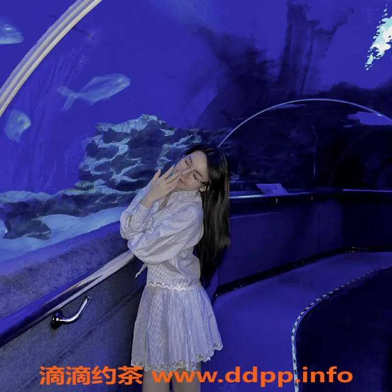 南宁楼凤-青秀区猫咪，热情似火的陪伴！