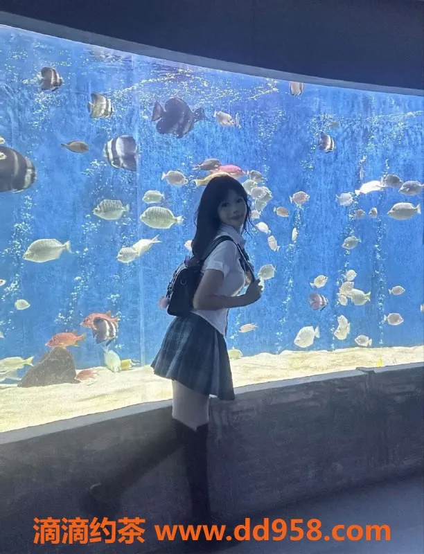 广州楼凤-佛山小月，24岁，166cm，36C，夜课等你来体验！