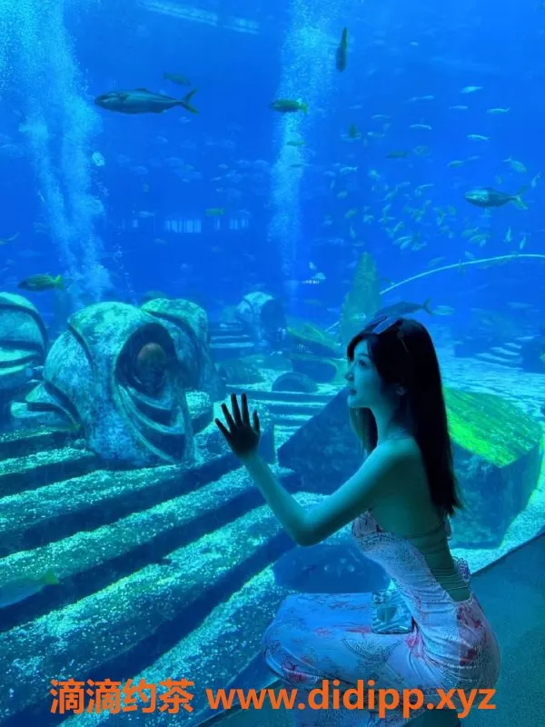 东莞楼凤-东莞韩小美，高挑嫩妹，90分钟超值体验