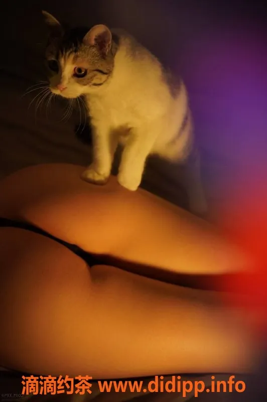 深圳抓龙筋资源信息,南山专享💯日式舒缓全裸体验799元起