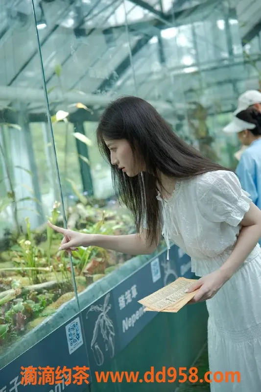 深圳楼凤-南山雅菲，1300元优质服务，双向体验等你来