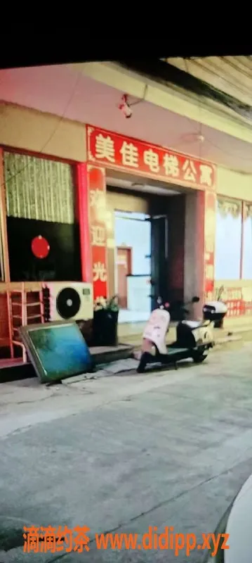 中山楼凤-东凤12月13日优质服务 300快餐400洗吹做