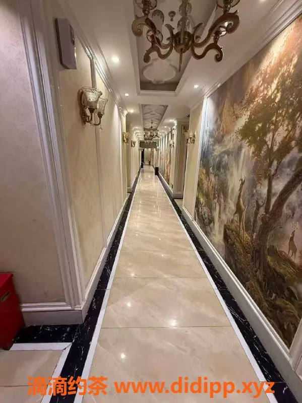 中山spa会所-珠海95会所优质按摩体验，全面服务满足你