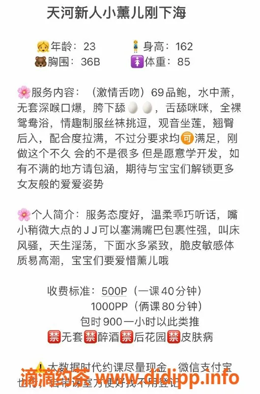 广州楼凤-天河小薰儿：御姐风格，超值500体验
