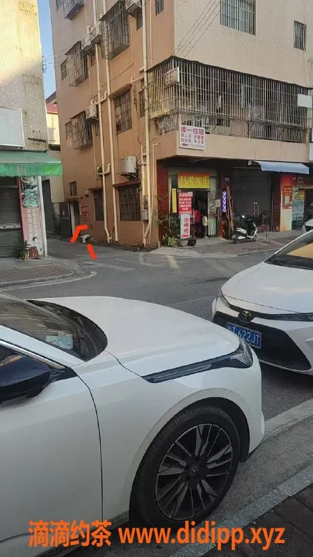 中山楼凤-三角地区新场子！快餐300，洗吹做400