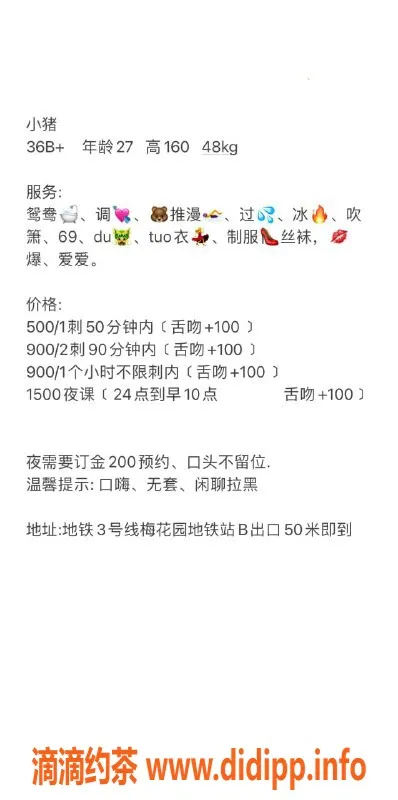 广州楼凤-白云小猪，舌吻69p美颜少妇，500p仅需