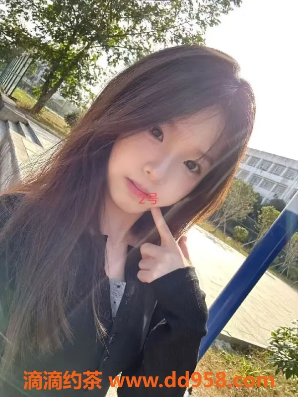 中山楼凤-古镇双人快餐服务 500元