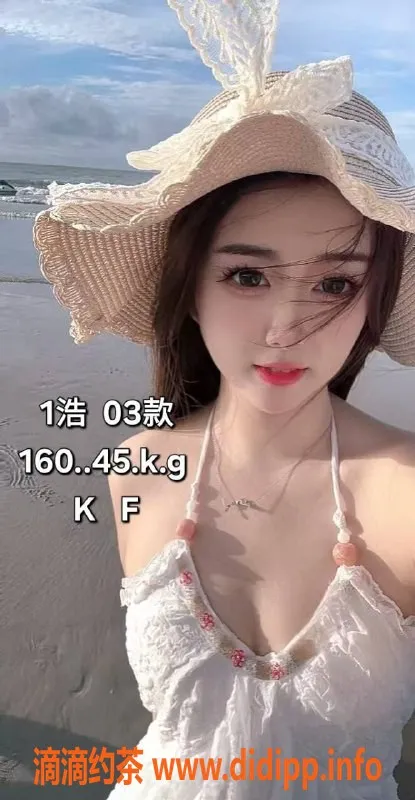 中山楼凤-沙溪快餐350元，优质服务不容错过