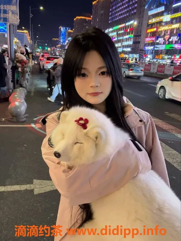 沈阳楼凤资源信息,小文，身材超赞，服务优质，只需800元