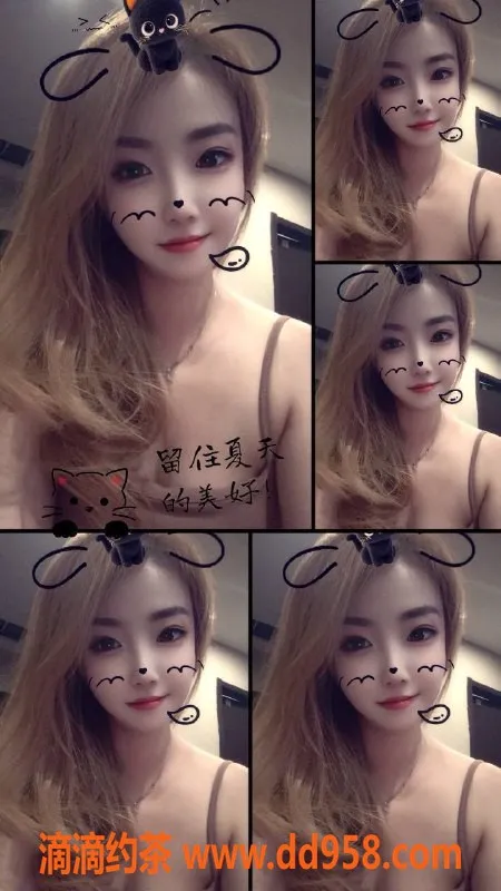 沈阳楼凤资源信息,中山区猫猫，500元/900元，优质服务等你体验