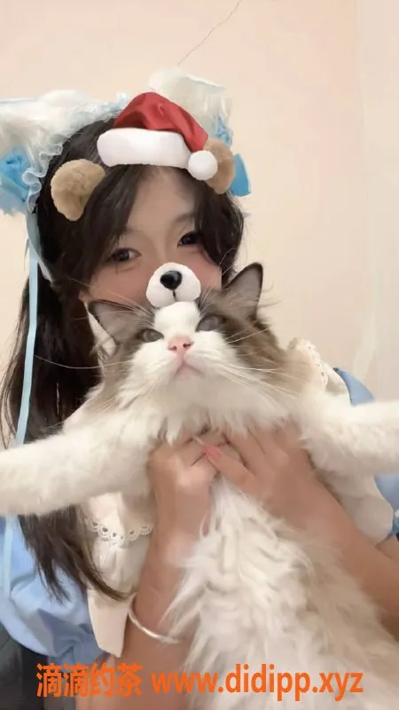 深圳楼凤资源信息,龙岗嫩妹小怡性价比超高，1000起服务！