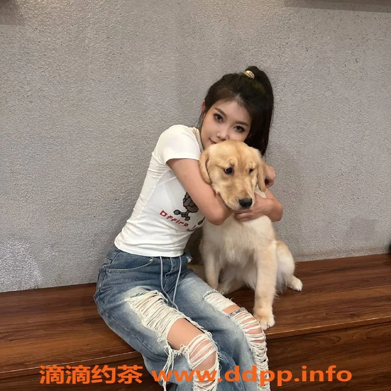 深圳楼凤资源信息,南山粉嫩女友感服务，芦田愛菜998P起