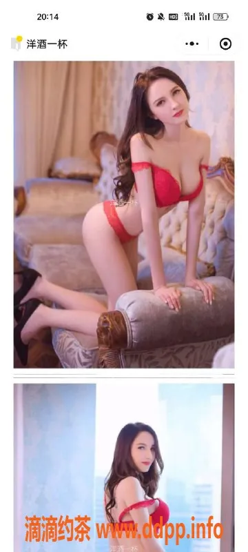 天津楼凤-天津洋酒推荐，性感鸡头大牛