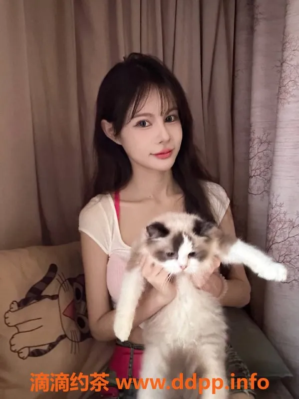 佛山楼凤资源信息,禅城小婉，700元的完美体验