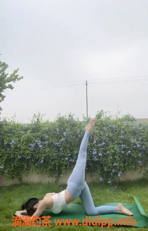 广州楼凤-天河金媛，御姐大胸，课费8P