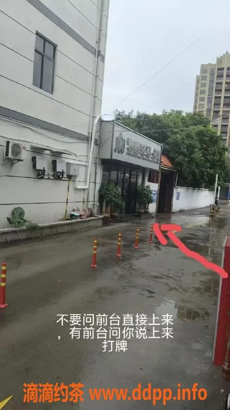 中山楼凤-热辣快餐300，洗吹做400，独家服务等你来体验