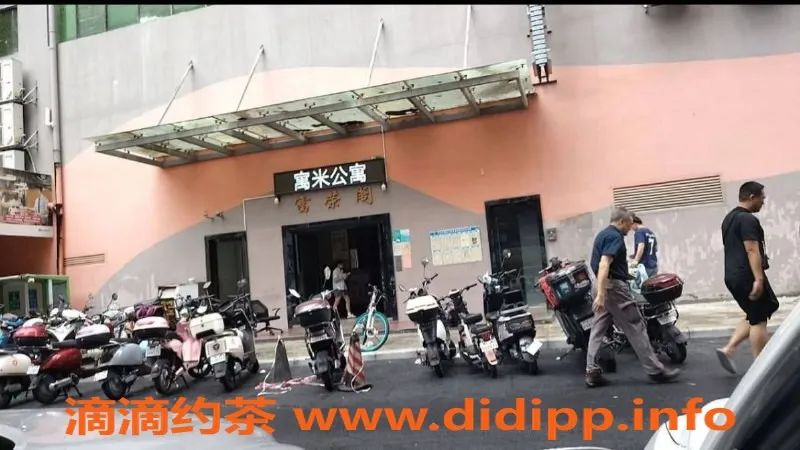 中山楼凤-西区极品19，350快餐，450洗吹做