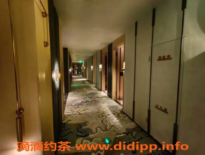 广州spa会所-广州番禺顶级莞式技师，699元起