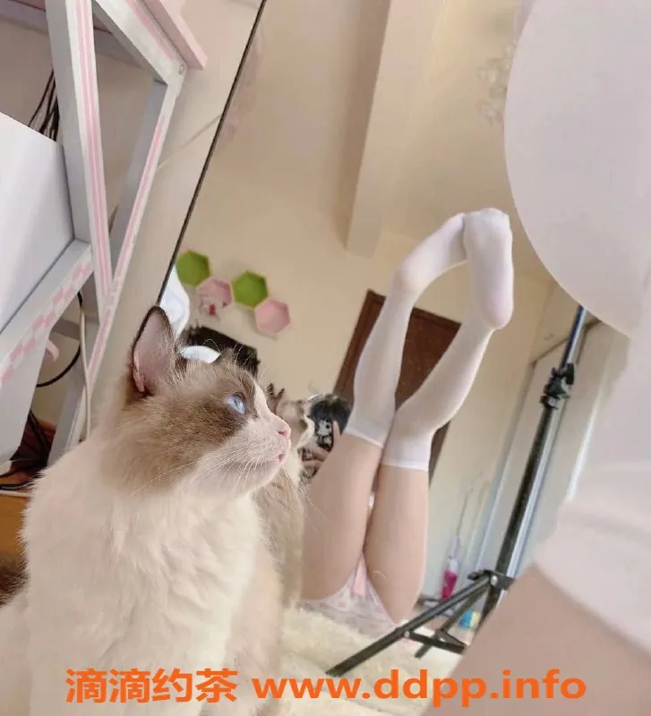 上海楼凤-浦东雅婷老师，福利拍卖中，原价1700只需1500PP