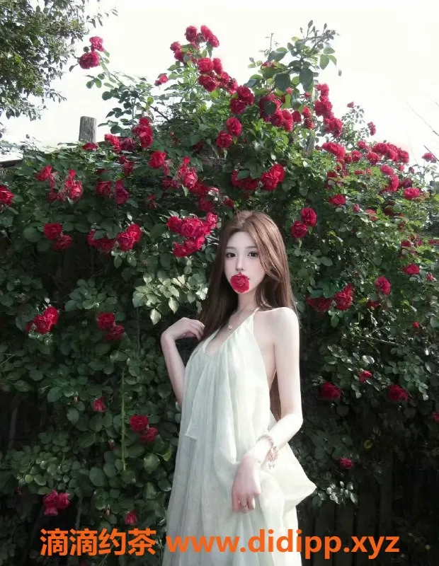 广州楼凤-天河瑶瑶，御姐大胸夜课，25PP体验