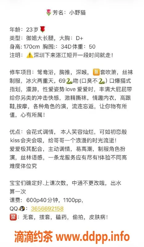 湛江楼凤-小野猫，优雅身材，热情服务，成熟女性