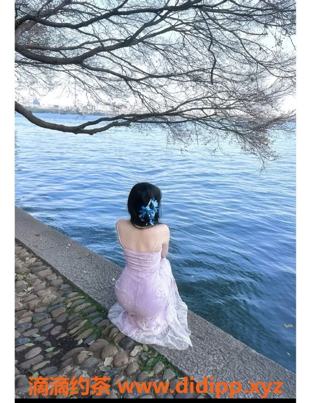 赣州楼凤资源信息,赣州03小白，163cm，50kg，32D超美娇娃