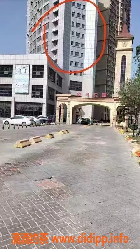 烟台楼凤-福山区洋马，优质服务，价格实惠