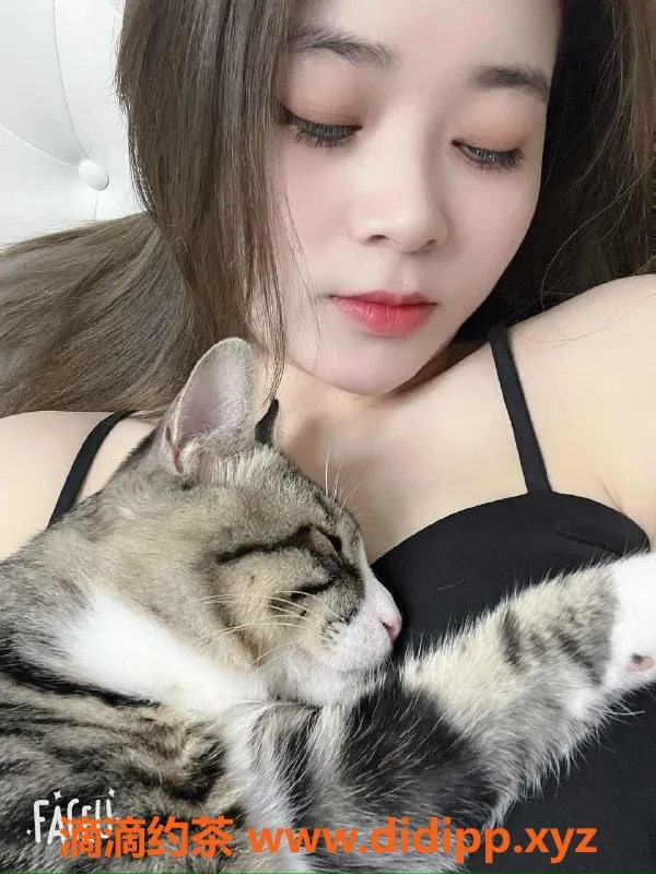 南京楼凤-秦淮杨杨，500p/900pp服务等你体验！