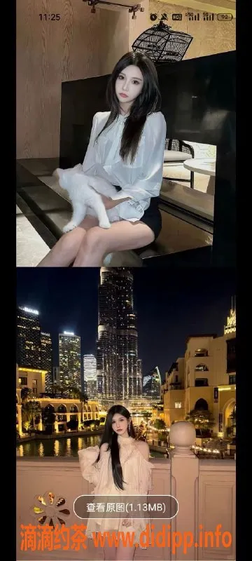 天津楼凤-河北区宁宇家园双向机器人服务